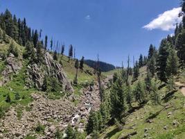 vale de bangus em kupwara kashmir foto