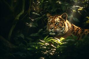 majestoso leopardo em repouso debaixo selva árvore ai generativo foto