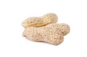 casca de amendoim isolada no branco foto