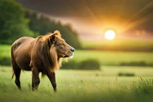 uma leão é em pé dentro a Relva às pôr do sol. gerado por IA foto
