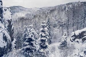 montanhas, árvores cobertas de neve. as árvores estão congeladas foto