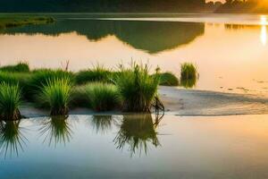 uma lago com Relva e água às pôr do sol. gerado por IA foto