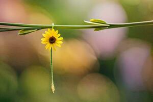 uma solteiro amarelo flor é suspensão a partir de uma galho. gerado por IA foto