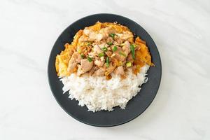 Carne de porco frita com alho e ovo coberto com arroz - comida asiática foto