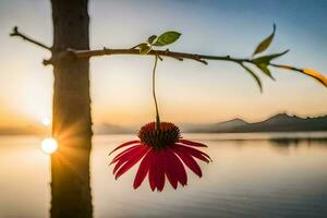 uma flor suspensão a partir de uma árvore às pôr do sol. gerado por IA foto