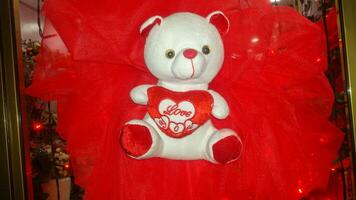 comovente amor Urso - uma vermelho Urso de pelúcia brinquedo com uma especial mensagem foto