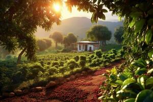 rústico café plantação cena, exibindo linhas do exuberante, verde café plantas, com maduro, vermelho café cerejas pronto para colheita. generativo ai foto