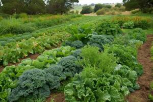 paisagem rural mostrando linhas do orgânico cultivo brócolis, couve, tomates, bagas, etc. pronto para colheita. cultivado de forma sustentável produzir. generativo ai foto