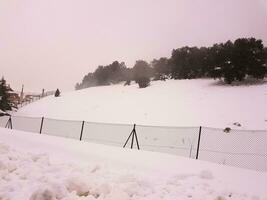 abraçando a beleza do abundante neve dentro a neve estação foto