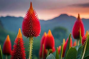 vermelho flores dentro frente do montanhas às pôr do sol. gerado por IA foto