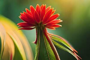 uma vermelho flor é dentro a primeiro plano do uma verde fundo. gerado por IA foto