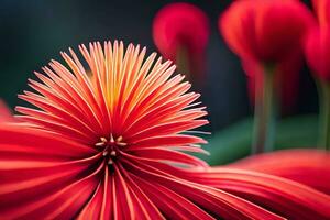 uma fechar acima do uma vermelho flor com muitos pétalas. gerado por IA foto