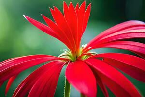 uma vermelho flor com verde folhas dentro a fundo. gerado por IA foto