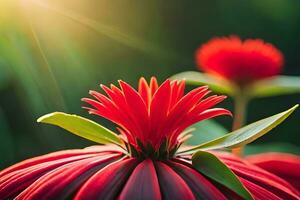 vermelho flor com Sol brilhando através. gerado por IA foto