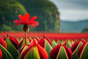 uma vermelho flor carrinhos Fora dentro uma campo do verde plantas. gerado por IA foto