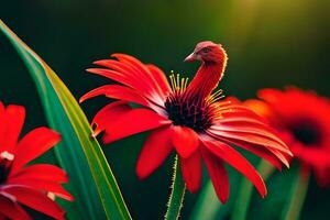 uma vermelho flor com uma pássaro em Está cabeça. gerado por IA foto