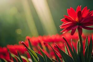 vermelho flor dentro a Sol. gerado por IA foto