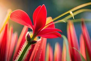 uma vermelho flor é dentro a primeiro plano do uma campo. gerado por IA foto