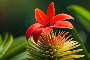 uma vermelho flor é crescendo em topo do uma verde plantar. gerado por IA foto