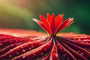 uma vermelho flor é mostrando dentro a Centro do uma plantar. gerado por IA foto