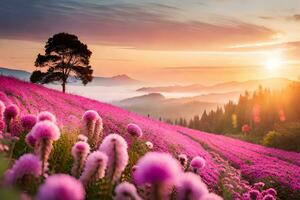 Rosa flores dentro a campo às pôr do sol. gerado por IA foto