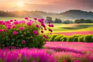 Rosa flores dentro uma campo às pôr do sol. gerado por IA foto