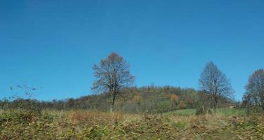 Colline Torinesi Turin Hills em Turin foto