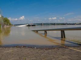inundação do rio reno em mainz, alemanha foto