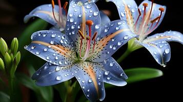 uma grupo do Rosa flores dentro uma Preto recipiente ai generativo foto