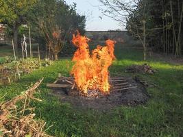 chama de fogo ardente foto