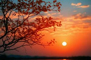 crepúsculo abstrato charme pequeno sol, árvore silhueta, tranquilo verão céu ai gerado foto