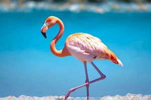 cativante flamingo pose dentro Claro lagoa, ai gerado foto