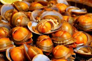 abalones marinho caramujos fresco prato profissional publicidade Comida fotografia ai gerado foto