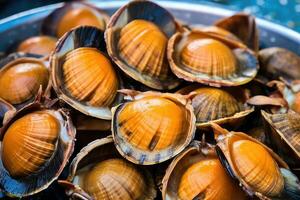 abalones marinho caramujos fresco prato profissional publicidade Comida fotografia ai gerado foto