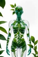 botânico saúde conceito dentro transparente humano forma, ai gerado foto