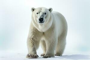 selvagem animal polar Urso perigoso mamíferos profissional publicidade fotografia ai gerado foto