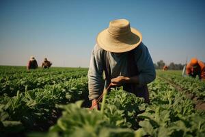 agricultor trabalhando em uma vegetal campo dentro a manhã. conceito do agricultura. ai gerado foto