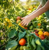 uma fechar-se tiro do uma criança mãos colheita fresco frutas e legumes a partir de uma fazenda, mundo Comida dia imagens, ai generativo foto