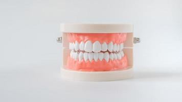 fechar modelo de boca com dentes brancos foto