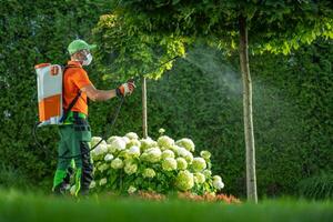 inseticida ou fungicida em uma jardim árvores foto