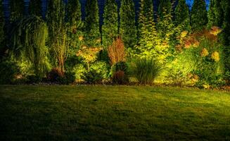 amadurecido jardim moderno conduziu ao ar livre iluminação sistema foto