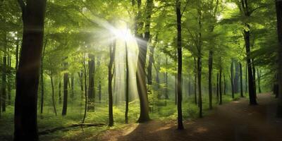 lindo raios do luz solar dentro uma verde floresta. generativo ai foto