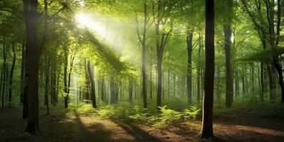 lindo raios do luz solar dentro uma verde floresta. generativo ai foto