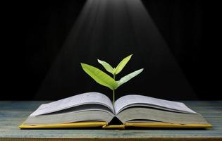 árvore cresce de um livro com luz brilhando para obter conhecimento foto