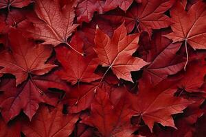 vinho vermelho outono folhas textura, outono natureza fundo, ai generativo foto