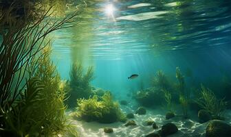 uma solo oceânico coberto dentro exuberante verde algas marinhas. ai gerado foto