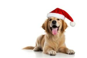 fofa alegre de raça pura dourado retriever cachorro dentro uma Natal santa claus chapéu em uma branco fundo com cópia de espaço. Novo ano cartão postal, fundo com animal. alegre Natal. bandeira, ai gerado foto