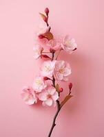 Rosa cereja flores, rosa Sakura, linda cereja flores pastel Rosa fundo. cereja flores estão lindo e agradável para a olho. faz você sentir relaxado gostar você é dentro natureza. generativo ai foto