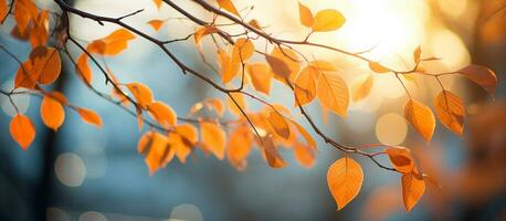 outono panorama com laranja e amarelo folhas em ramo com manhã luz solar ,outono plano de fundo, generativo ai foto