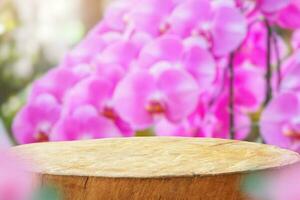 esvaziar velho árvore toco mesa topo com borrão orquídea jardim fundo para produtos exibição foto